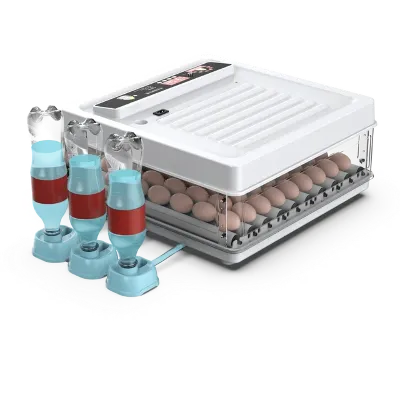 1717033132940 1717033132940